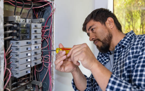 Best Electric Panel Repair  in Antioch, IL